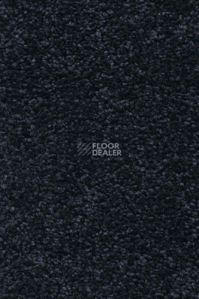 Ковролин AW Devotion 78 фото 1 | FLOORDEALER